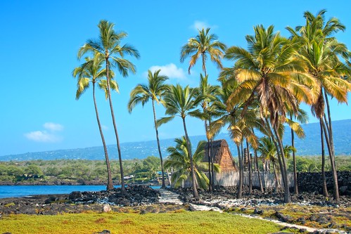 Pu’uhonau o Honaunau (Place of Refuge)