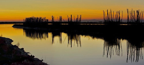 sunset tramonto natura notripod lagunaveneta retidapesca lagunadivenezia amanolibera liopiccolo tramontosullalaguna photomergecs5mac