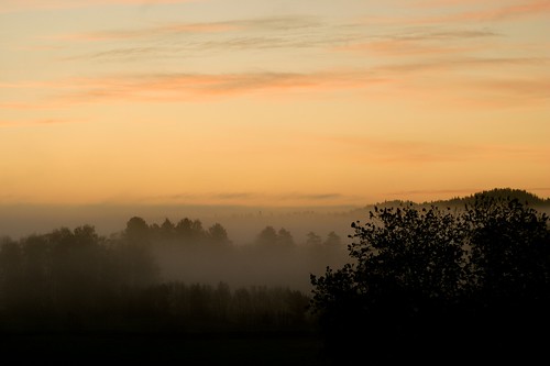 soluppgång morgon dimma
