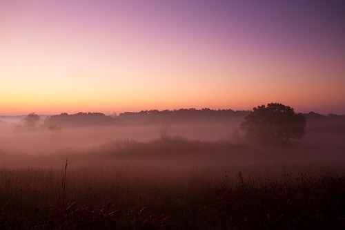 morning autumn light usa mist tree fall nature grass misty fog wisconsin sunrise landscape outdoors photography dawn photo october midwest scenery day image belleville foggy picture atmosphere hills american northamerica marsh prairie canonef1740mmf4lusm daybreak 2011 canoneos5d danecounty brooklynwildlifearea lorenzemlicka