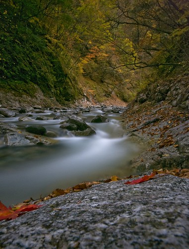 autumn trees tree leaves rock river nikon rocks long exposure sigma valley colourful 1020mm