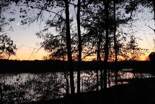 sunset lake landscape texas tx