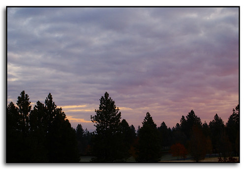trees color clouds sunrise washington spokane