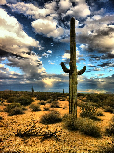 storm mobile clouds landscape desert iphone hollingsworth cactuscacti
