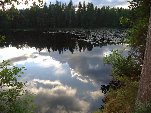 lake reflection clouds forest espoo finland esbo väärälampi