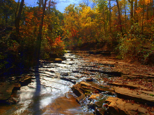 autumn fall nature water