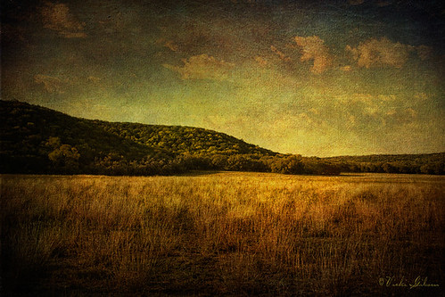 sunset texture landscape gold golden texashillcountry skeletalmess rentedochan lenabemanna hillcountrycameraclub