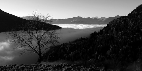 bw white black fog kärnten carinthia sw weiss schwarz photoscape decluttr pentaxk7 smcpentaxda1855mmf3556alwr pentaxaustria