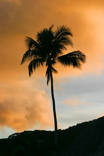 sunset sunrise cook lagoon pacificocean tahiti motu huahine moorea baie polynesian rangiroa tahaa raiatea lagon polynésie teahupoo