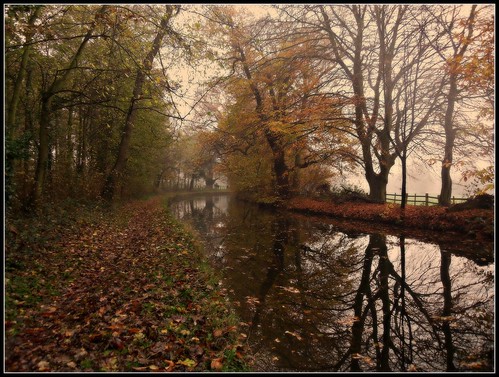 november autumn trees leaves way canal chesterfield picnik nottinghamshire cuckoo towpath scofton