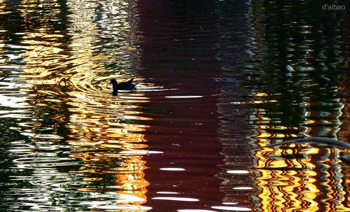 sunset lake water reflections lago lumix agua waves ocaso ondas reflejos leicalens morhen polladeagua dalbao francodalbao