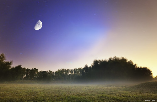 noche luna nocturna alava niebla vitoria salburua alavavision