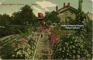 One of Hobart's Gardens