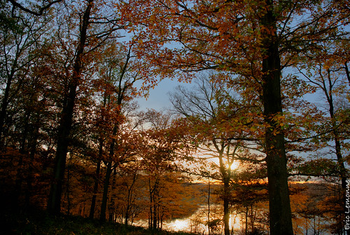 autumn trees sunset lake nikon belgium belgique wallonie d80 cerfontaine