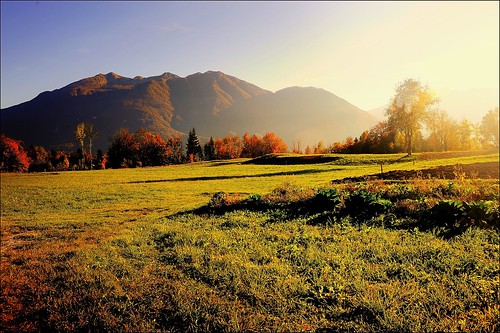 art trash rural montagne landscapes fineart country carnia paesaggio colza