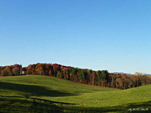 autumn trees mountains color fall georgia fallcolor hills fields greenfield gilmercounty