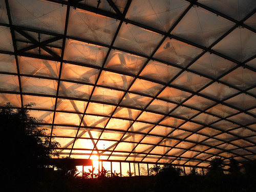 roof sunset glass sonnenuntergang leipzig dach glas glassroof gondwana glasdach gondwanaland leipzigerzoo sabineausl