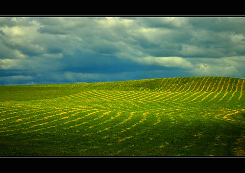 sky cloud lines clouds rural nikon farm patterns australia victoria vic hay gippsland thorpdale nikond5100 phunnyfotos