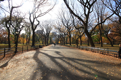 Central Park New York City