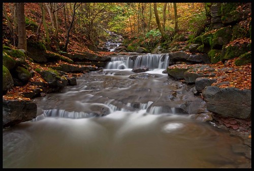 longexposure autumn trees fall leaves creek forest canon woodland river lens landscape geotagged eos photo stream flickr raw angle wasserfall cymru wide sigma file waterfalls cascades saturation gorge cachoeira slowshutterspeed clydach pwlldu llanellyhill 1770mm 450d