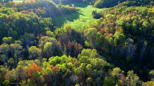 autumn trees fall colors novascotia view fallcolors aerial farmland foliage fields aerialphoto sunlit antigonish nspp lowersouthriver antigonishcounty