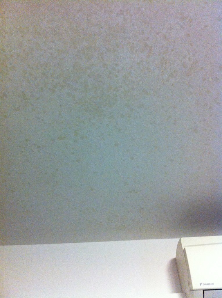 What S Wrong With My Ceiling Home Maintenance Repairs