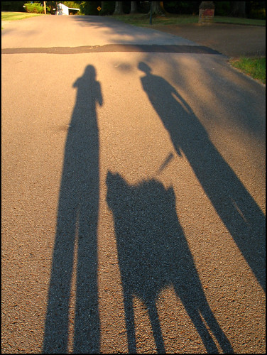 road street family usa selfportrait mom shadows suburban tennessee suburb savannah lateafternoon philscamera walkingthedog shadowpeople goldensunlight