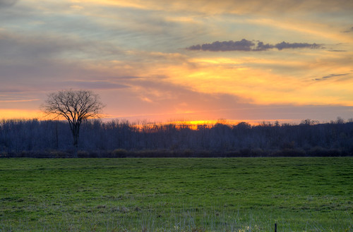 trees sunset sky sun ontario canada field clouds forest peterborough hdr gass