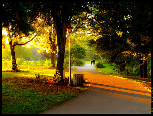 park trees sunset landscape photo path hdr eugeneoregon sidelight skinnerbuttepark