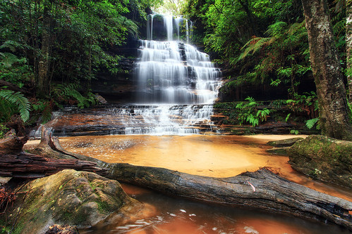 mountains tree wet water beautiful geotagged waterfall rainforest bluemountains nsw newsouthwales junctionfalls tapl madetoviewlarge geo:lat=33733896219844866 geo:lon=15043830991917957