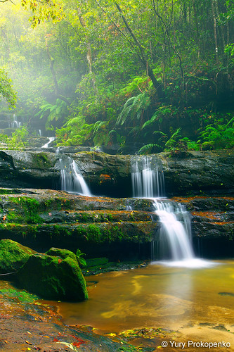 nature water waterfall rainforest australia bluemountains falls nsw hazelbrook terracefalls ☆thepowerofnow☆