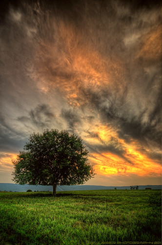 sunset mountain tree clouds landscape virginia nikon loudouncounty tomlussier