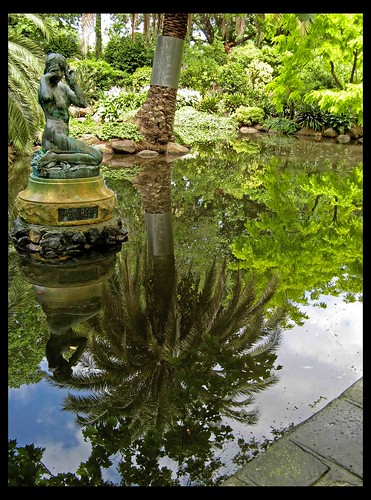 trees sculpture tree green water leaves reflections pond stones australia melbourne victoria palm paving 1925 queenvictoriagardens canona710 paulmontford ~~api~~ thewaternymph