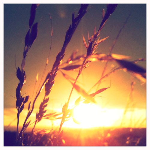 autumn sunset sun golden wakefield westyorkshire iphone woolleyedge hipstamatic