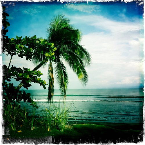 ocean travel tree beach nature costarica waves palm palmtree osapeninsula hipstamatic blueosayogasanctuaryandspa
