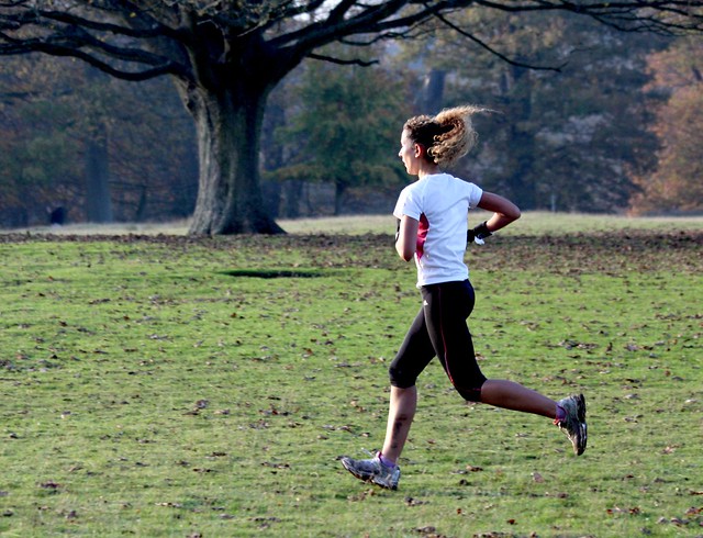 Knole House in Autumn - Nov 2011 - Run Girl Run