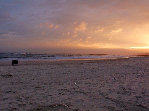 soleil novembre plage aprèsmidi contrejour balade languedocroussillon hérault valras merméditerranée fauteuildupêcheur