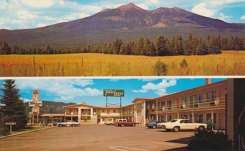 arizona vintage postcard motel flagstaff travelodge