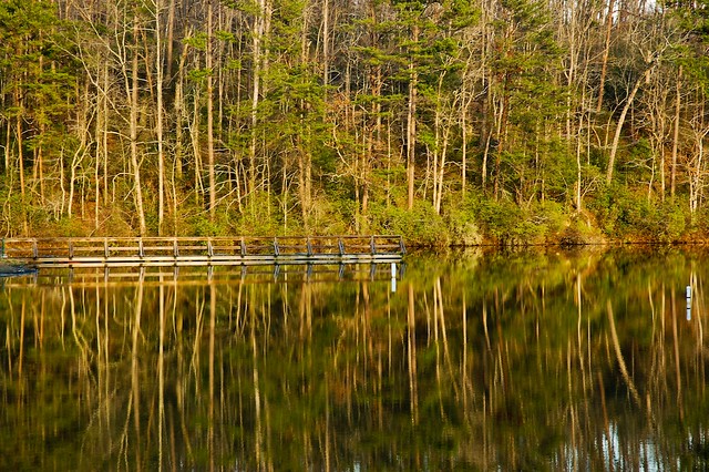 At the lake, playing with reflections