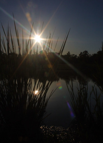 sunset sun reflection water grass star alabama montgomery