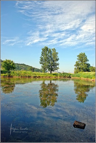 trees summer vacation holiday reflection nature water beautiful clouds reflections relax photography photo image sale great stock best stefan explore getty top10 available outstanding d80 cioata