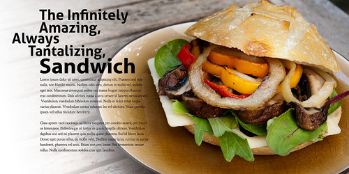 Project 52: Assignment 41: "The Incredible Sandwich"