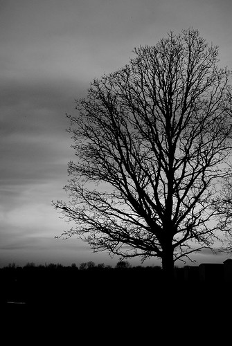 sunset sky bw tree monochrome silhouette clouds evening spring nikon michigan bare annarbor dramatic 2012 onone songlyrics d3000 annarborairport aperture3 perfectphotosuite