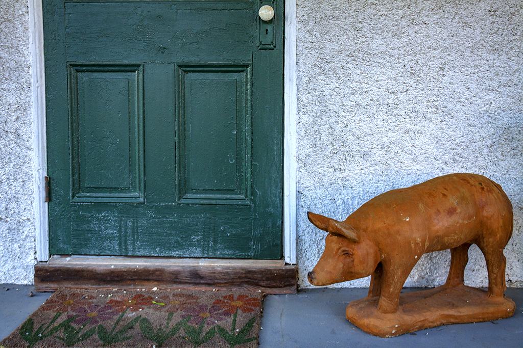Pig-before-door--Bolivar