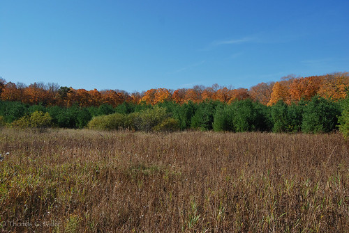 harmony wi woodswalk harmonyhardwoods harmonyarboretum harmonyhardwoodsmemorialforest