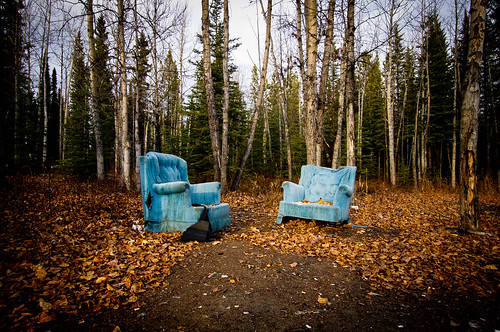 blue trees canada abandoned leaves chairs yukon seats upperliard