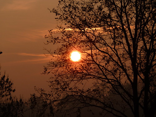 sunrise natur sonnenaufgang geesthacht wonderfulworldofflowers panoramafotográfico mygearandme