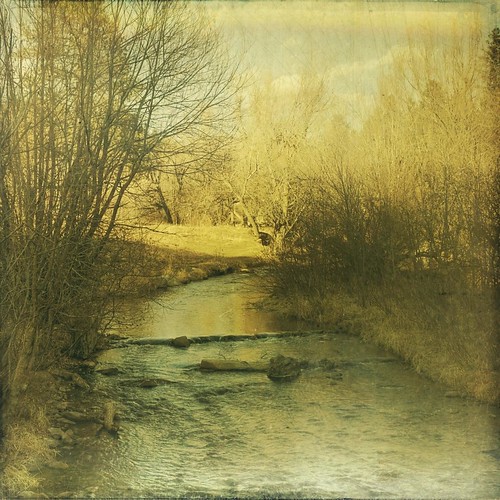 park trees winter water creek forest canon vintage square colorado afternoon grunge evergreen aged textured t1i