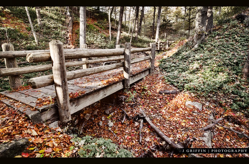 leaves nikon fallcolors bridges tokina milwaukee grantpark 1224mm hdr sevenbridges 7bridges florabella d7000