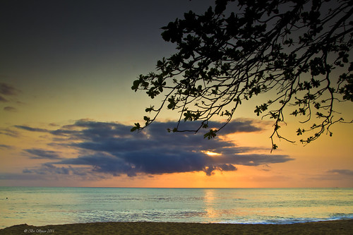 cloud sun tree beach beautiful sunrise sand australia queensland cairns trinitybeach canon7d